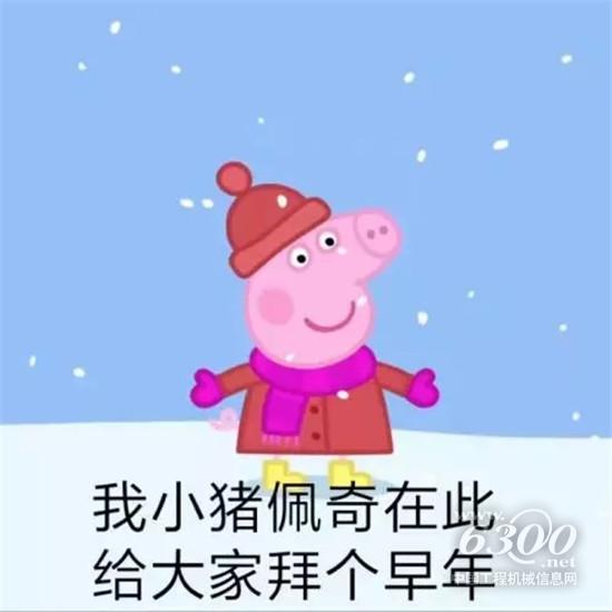如何確保挖掘機(jī)安全過年