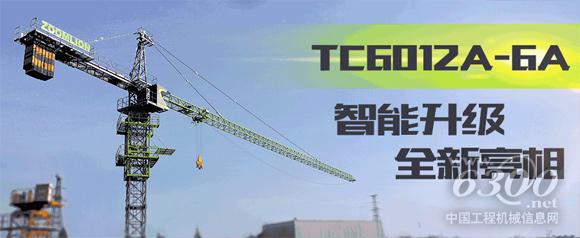 中聯(lián)重科C6012A-6塔機